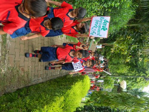 Plantation Global Kids Kota 2018